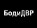 БодиДВР